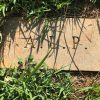 Annie Laura Phelps Footstone