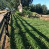 Phelps Family Cemetery