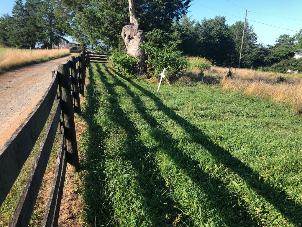 Phelps Family Cemetery