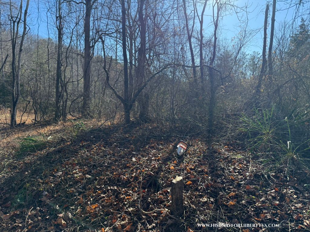 Chainsaws for clearing trees and brush trimmers for wintergreen vines