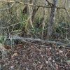 Initial view of plot on first day