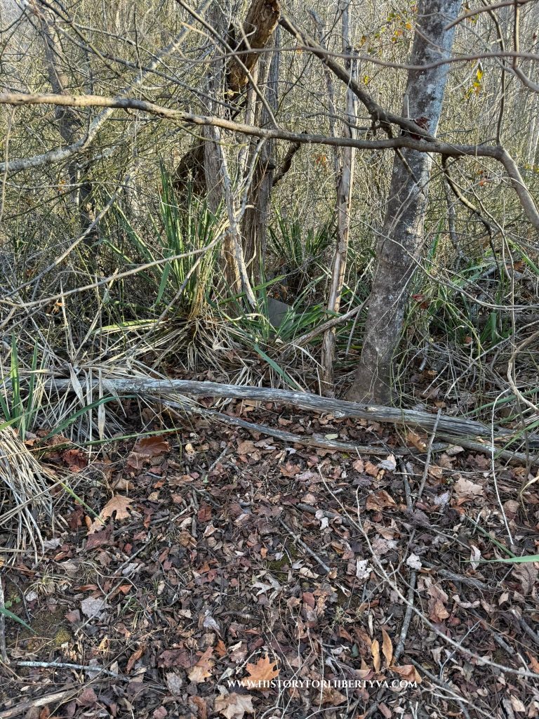 Initial view of plot on first day
